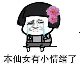 表情包 制服,趣味与时尚的完美融合