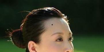 任珅女演员个人资料