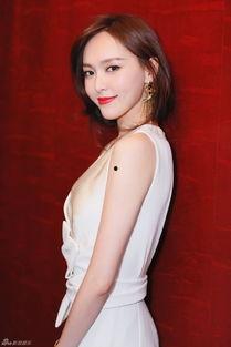 岩佐资料,揭秘历史人物背后的传奇故事