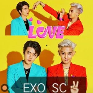 exo资料详细资料大全